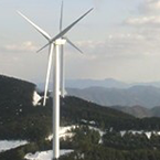 Environmental Wind Engineering