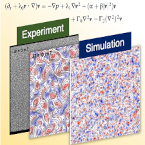 Transport Phenomena
