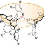 Catalytic Organic Chemistry