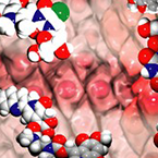 Excited-State Hydrocarbon Chemistry