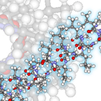 Biomaterial Chemistry