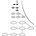 Quantum Condensed Matter Physics