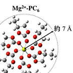 Quantum Function Chemistry