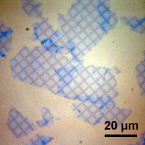 Nanoscopic Surface Architecture