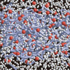 Fundamental Physical Chemistry