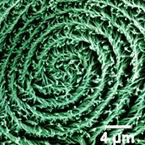 Functional Polymer Synthesis