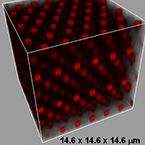 Molecular Design of Polymer Materials