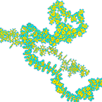 Polymer Molecular Science