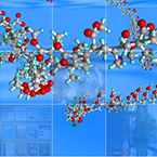 Synthetic Polymer Chemistry