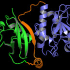 Chemical Science and Technology