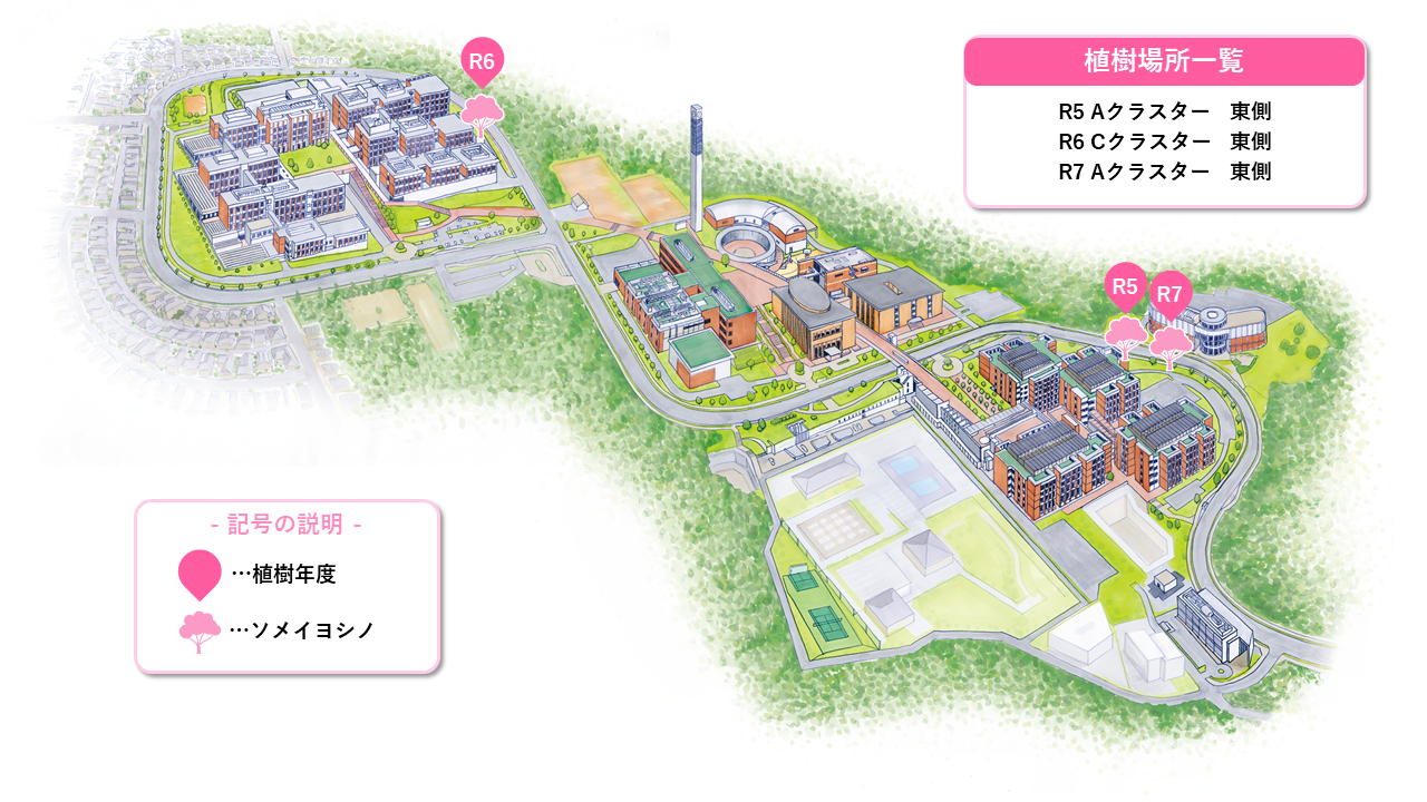 ★記念植樹HP 植樹場所画像作成案.png