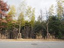Web用★退職記念樹木_R4.jpg