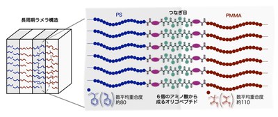 【研究成果】結合した２種高分子間の「つなぎ目」が鍵－半導体の微細加工に貢献する新しい高分子設計－