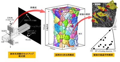 【研究成果】金属の破壊はなぜ起こるのか？複合的な3D可視化技術により解析 －定説と異なる真の破壊メカニズムを明らかに－