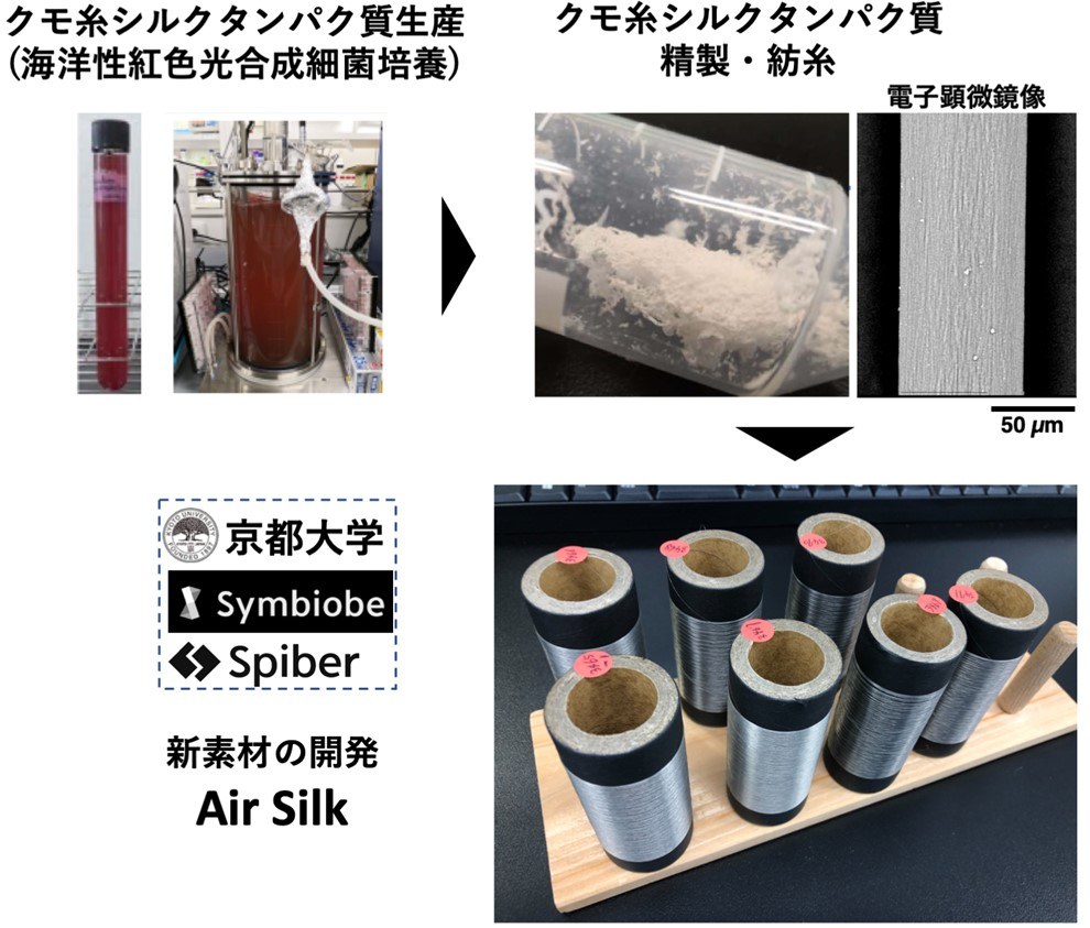 研究成果】ゼロカーボンバイオ産業創出の基盤となるタンパク質繊維試