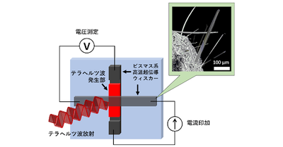 超伝導針状結晶からのテラヘルツ波放射に成功ー超伝導テラヘルツ光源の機能開発を加速ー