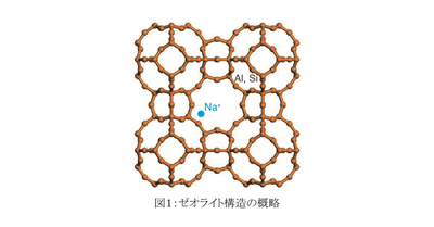基礎物性から迫る抗菌性ゼオライトの秘密