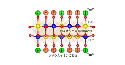 電子誘電体が圧電性と強誘電性を示すことを実証 ―圧電性と強誘電性を導く新たな機構の提案―