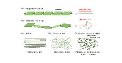 無秩序だけど揃ってる？常識を覆す構造をもつπ共役ポリマーにより、 環境にやさしい有機薄膜太陽電池の変換効率を1．5倍に向上