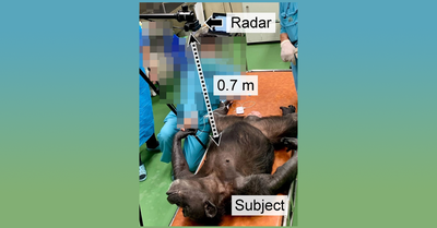 チンパンジーの瞬時心拍間隔を非接触で測定することに成功－ミリ波レーダを用いた非接触バイタル測定技術の確立へ－