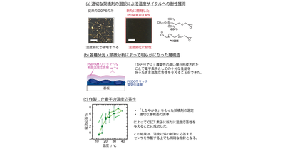 温度が変化しても安定した信号を計測できる高分子薄膜を開発