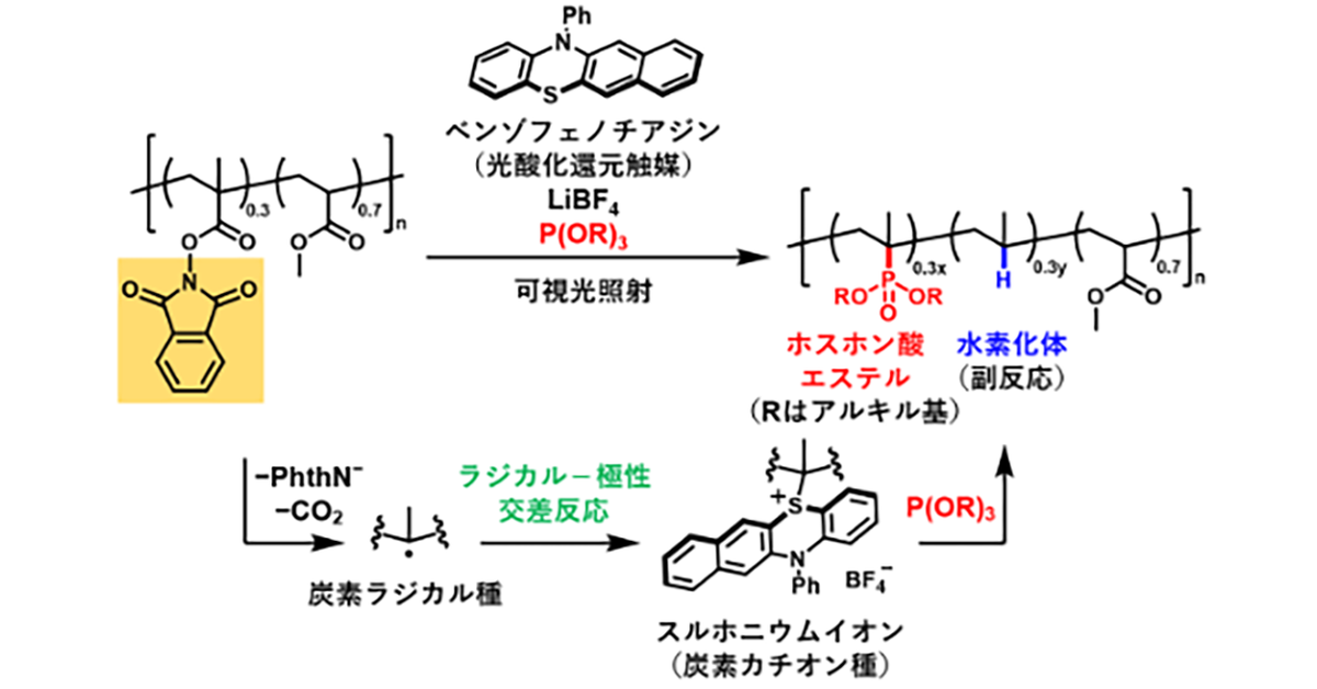 光を使って高分子を高付加価値化する手法を開発 －機能性ホスホン酸
