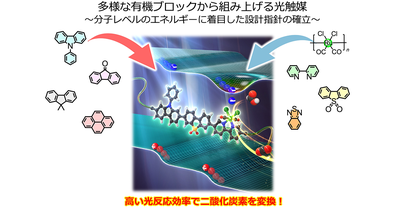 エネルギー構造を制御した有機高分子光触媒による高効率CO2変換の実証 ―貴金属に頼らない人工光合成系の実現に向けて―