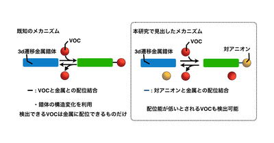 「色の変化」で目に見えない有害物質の存在を知らせる金属材料を開発 –3d遷移金属錯体で検出できる物質の拡大に期待–