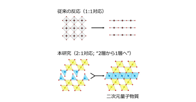 構造常識を覆すトポケミカル反応の発見 ―カゴメ格子をもつ新しい二次元量子物質の創製に成功―