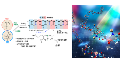 光で分解可能な高分子を開発～配列制御と後修飾反応によるケトン骨格の周期的導入～