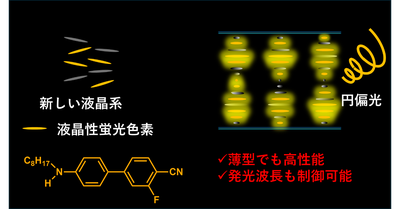 液晶性発光色素により薄膜で実装レベルの円偏光発光を実現 －オプトエレクトロニクス分野への応用に期待－