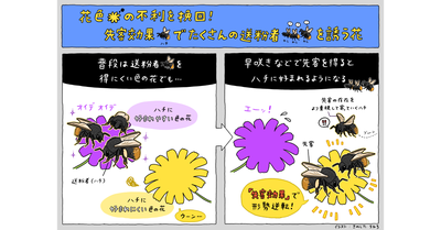 先んずれば花色を制す ―「先客」を確保した地味な花は派手な花にも負けずハチを惹きつける―