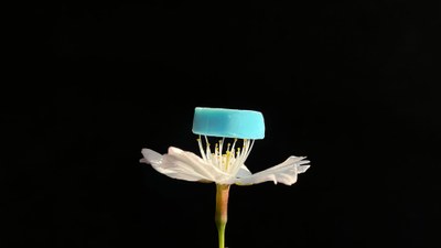 ナノ空間分⼦を紡いでつくる、多孔性ナノ⽷の開発 ー多孔性と柔軟性をあわせ持つ新材料ー