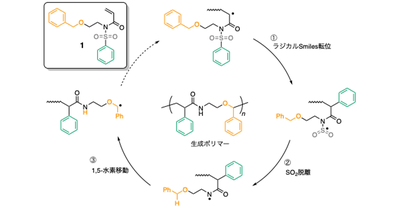 付加重合でポリアミドを作る ―多段階ラジカル異性化による新たな高分子合成―