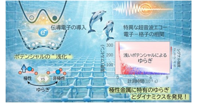 極性金属に潜む構造ゆらぎの謎を解明 ―伝導電子が生み出す浅いポテンシャルと新しいダイナミクス―