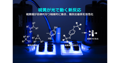 硫黄が光で動く新反応 ―硫黄種が自律的かつ触媒的に働き、難反応基質を活性化―