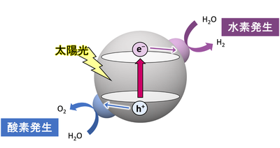 水完全分解光触媒における初めてのオールインワン助触媒を実現 ―サステイナブルな水素社会の実現に向けて―