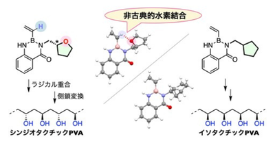ビニルポリマーの立体構造を制御する新戦略 ―弱い相互作用で側鎖の方向を思い通りに―