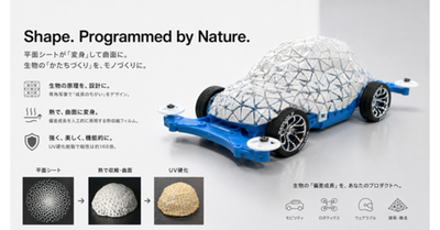 平面シートが「変身」して曲面に ―生物の「かたちづくり」をモノづくりに―