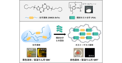気体に反応して色と光がスイッチする相分離材料を開発 ―液体がしみ出す相分離を分子レベルの相互作用で制御―