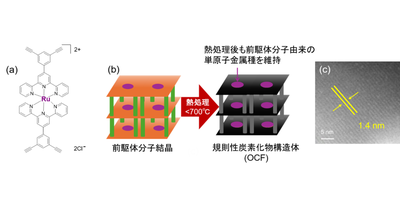 ルテニウム原子を炭素材料に高密度固定することに成功 ―CO2を高選択的にギ酸へ変換、 希少な貴金属を有効利用する触媒材料開発に期待―