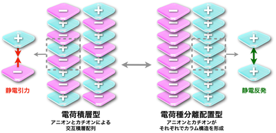 分極を利用した静電反発の克服による荷電π電子系の積層を実現ー有機半導体の新たな設計指針の確立に期待ー