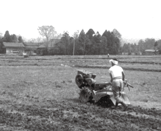 耕運機で田を耕す風景（1962 年ごろ）